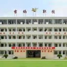 大埔縣田家炳高級職業學校