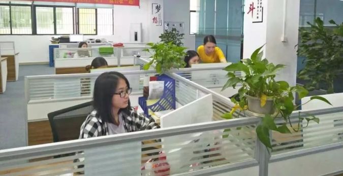 實訓實習