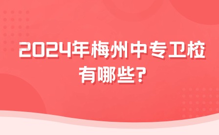 2024年梅州中專衛校有哪些?