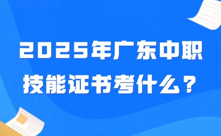 2025年廣東中職技能證書美術考什么?