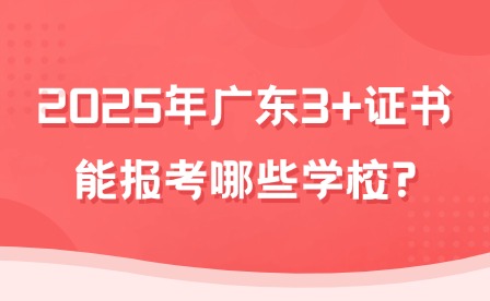 2025年廣東3+證書能報考哪些學校?