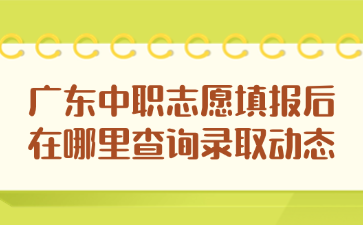 廣東中職志愿填報后在哪里查詢錄取動態